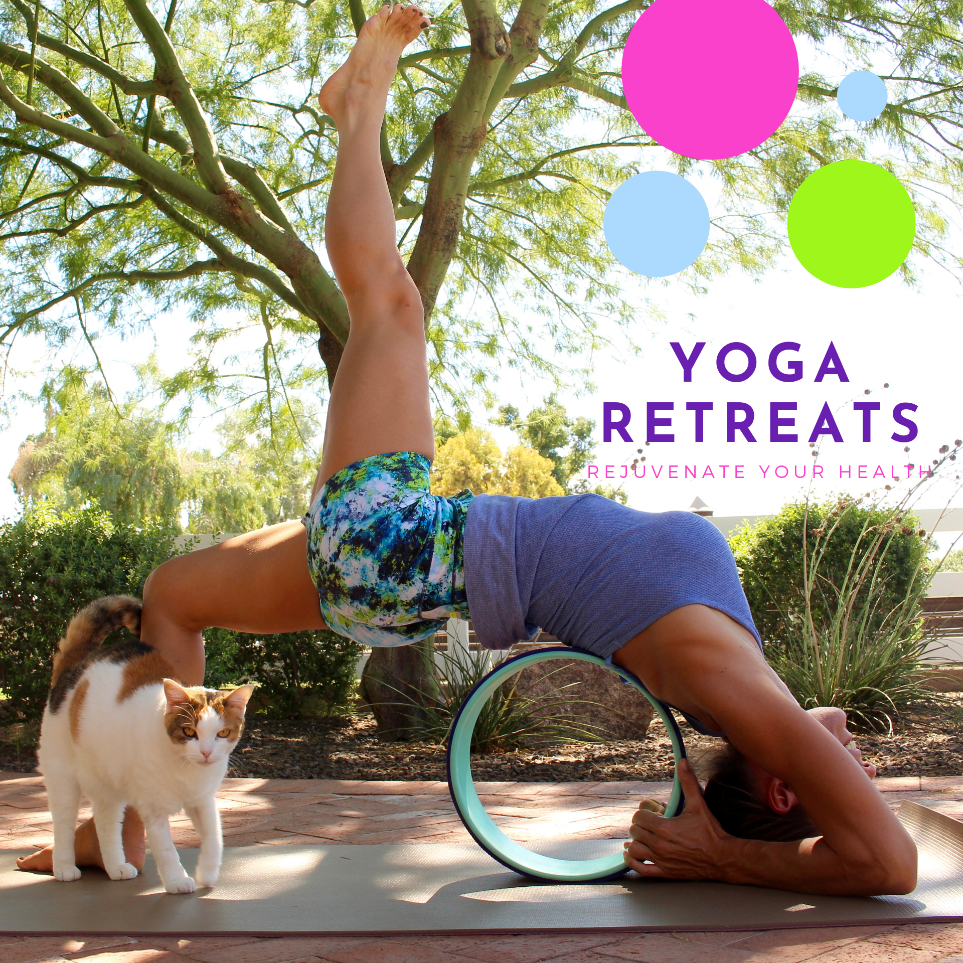 3 Week Yoga Retreat Review: Can a Beginner Really Learn Yoga at Home - My  Results