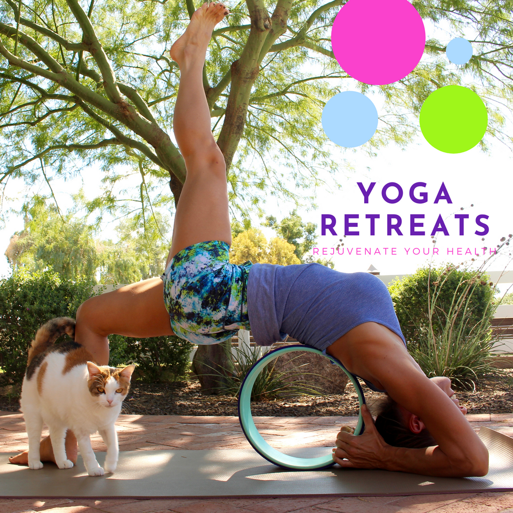 Discover the Benefits of Yoga Retreats: Rejuvenate Your Mind, Body, and  Soul — Hot Yoga Teacher Training